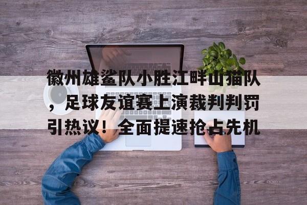 徽州雄鲨队小胜江畔山猫队，足球友谊赛上演裁判判罚引热议！全面提速抢占先机的简单介绍